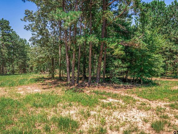 3rd image of 23400 County Road 244 Tract 5
