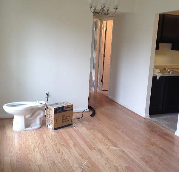Dinning room