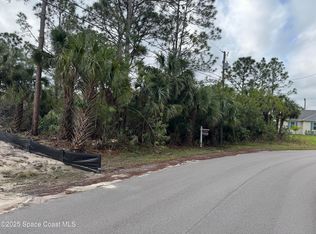 3395 Fitzpatrick Ave SW, Palm Bay, FL 32908