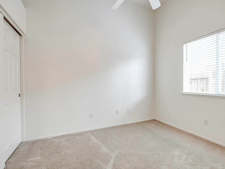 9310 Village Tree Dr — Photo 19