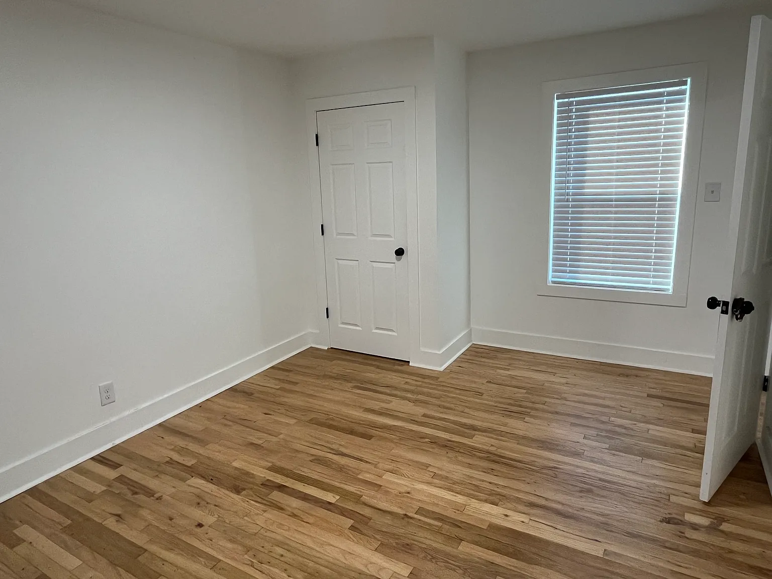 1 bed, 560 sqft, $1,250 — Photo 4