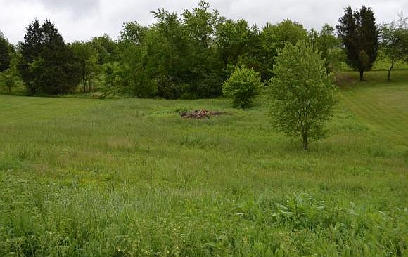 2nd image of 340 Wayland Dr