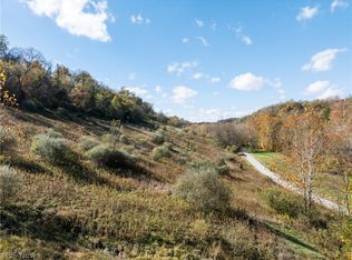 51345 Little McMahon Creek Rd, Saint Clairsville, OH 43950