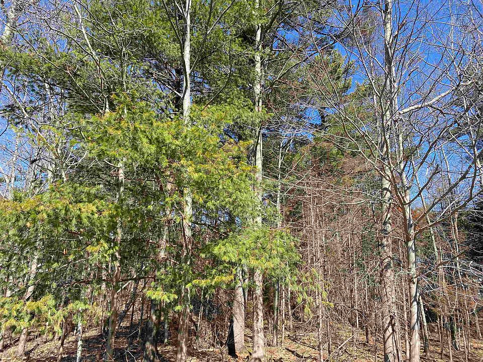2nd image of 20 Mountain View Rd