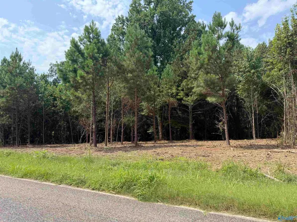 TRACT 2 Flanagan Rd, Athens, AL 35614