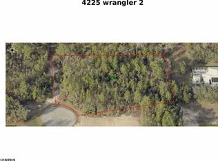 4225 N Wrangler Point, Beverly Hills, FL 34465