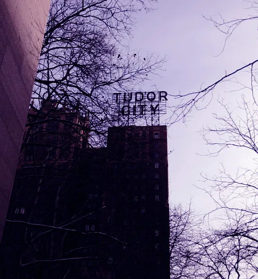 45 Tudor City Pl #2120 — Photo 21