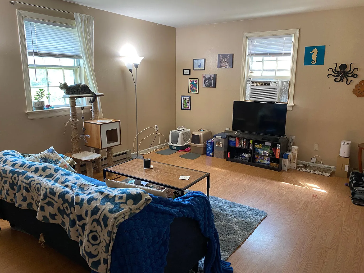 2 bed, 926 sqft, $1,950 — Photo 2