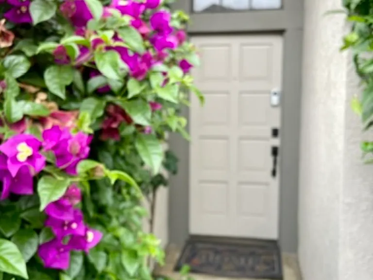 ENTRANCE DOOR