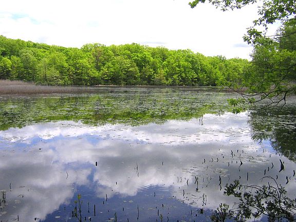 Cranberry Pond