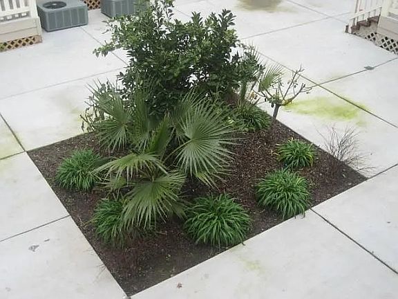 5th image of 1810 G St APT 5
