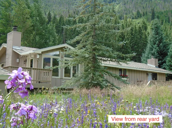 4799 Meadow Dr #1, Vail, CO 81657