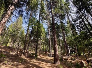 1040 Wawona Way, Arnold, CA