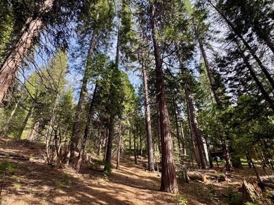 1040 Wawona Way, Arnold, CA, 95223