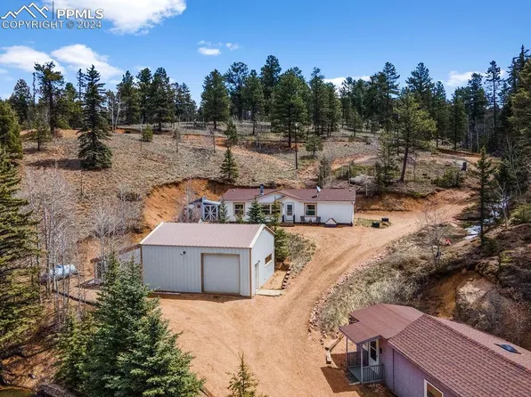854 W Bison Creek Trl, Florissant, CO 80816