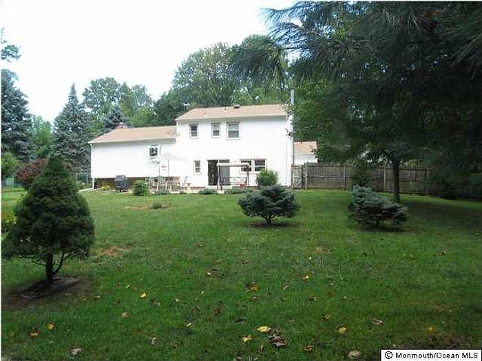 Large level back yard