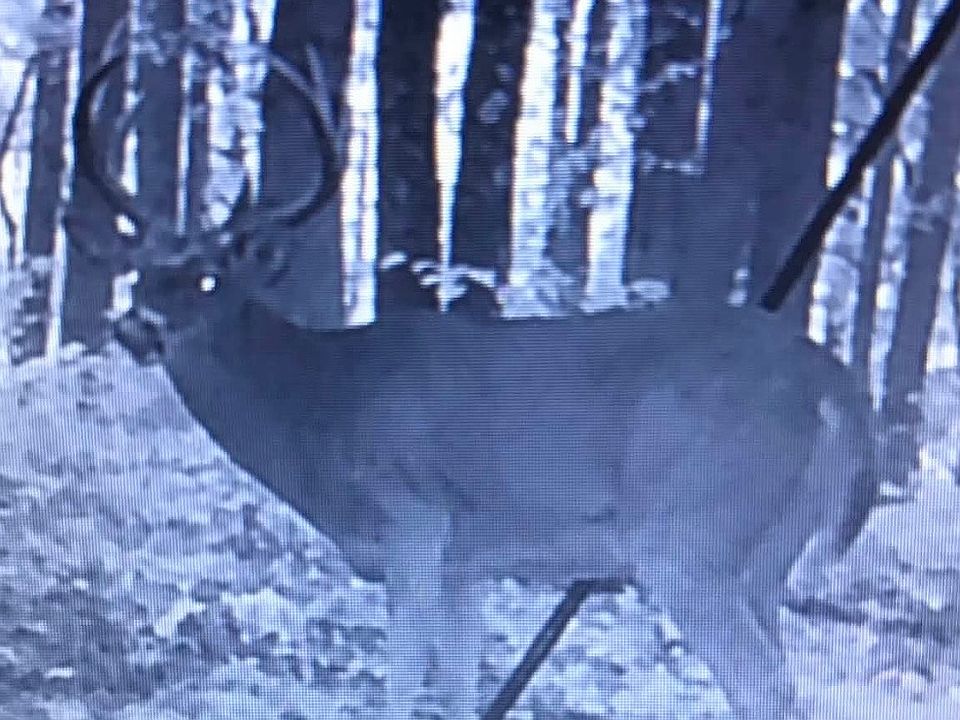 1st image of 0 Texas Hollow Rd