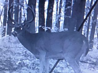 0 Texas Hollow Rd, Pedro, OH 45659