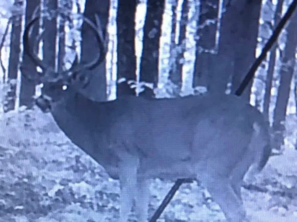 0 Texas Hollow Rd, Pedro, OH 45659