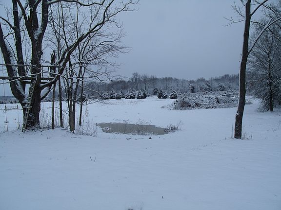 pond  and  hay field