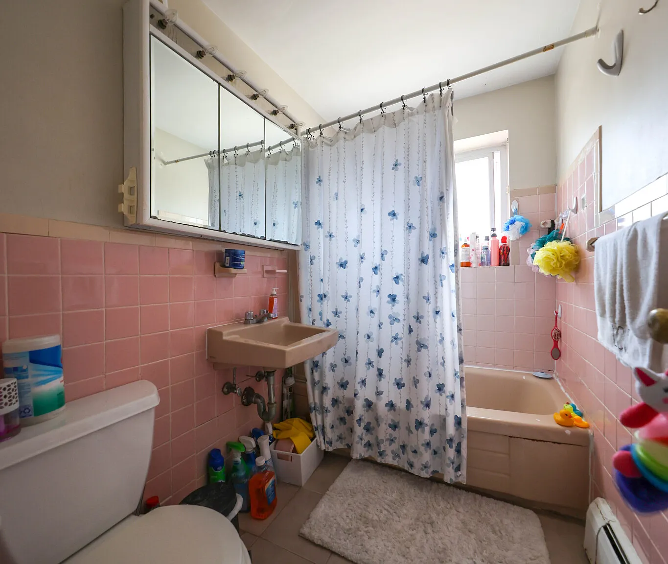 2 bed, 9999 sqft, $2,595 — Photo 3