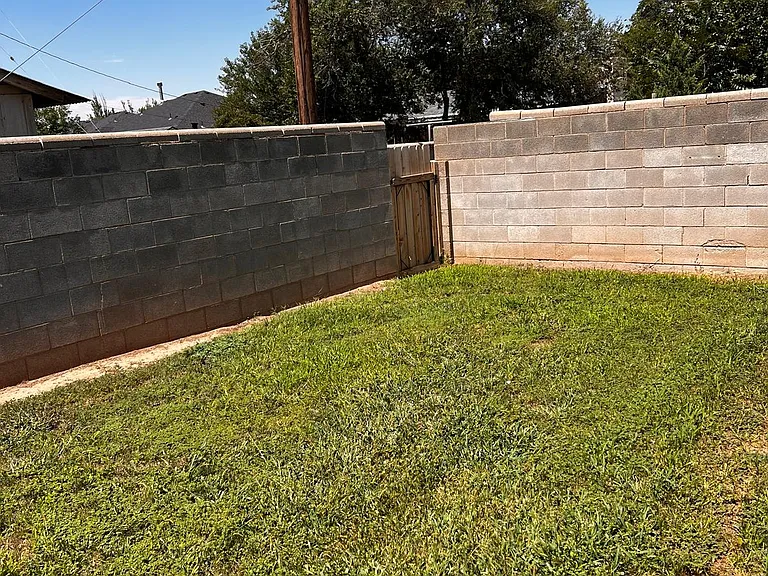 Backyard,