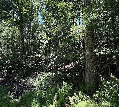 3rd image of TBD Lot 30 High Meadows Court