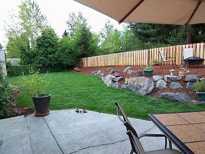 South-facing view of backyard