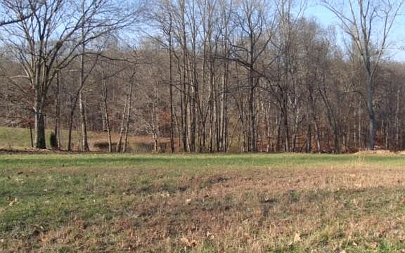 3rd image of Cheshire Drive