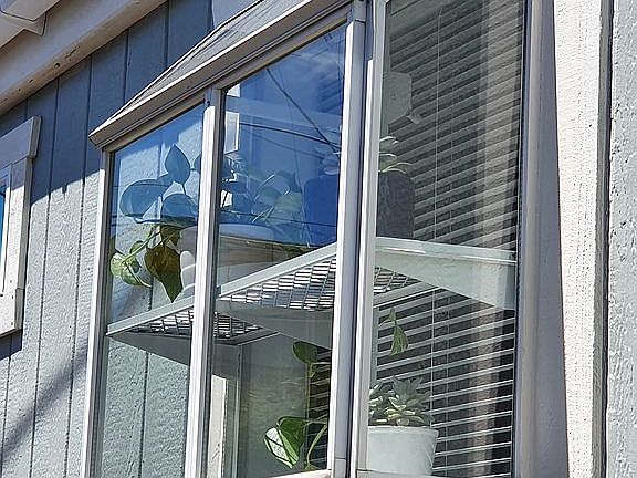 Garden Window