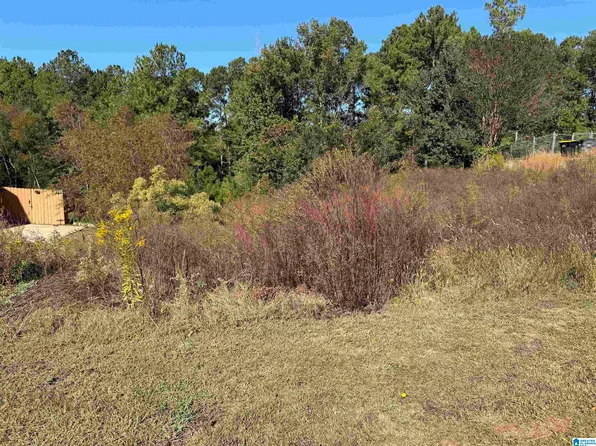 250 Lakeside Dr #38, Odenville, AL 35120