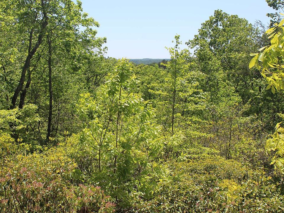 2nd image of LOT 5 Owl Mountain Rd