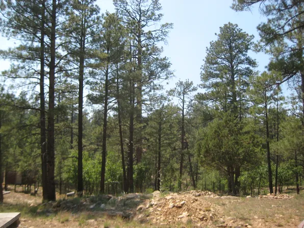 2664 Canyon View Dr, Happy Jack, AZ 86024