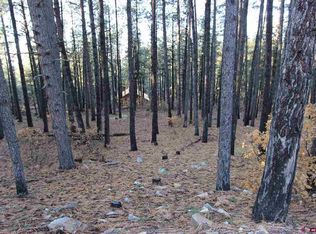 386 Valley View Dr, Bayfield, CO 81122