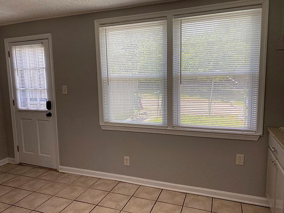 Kitchen back door and windows