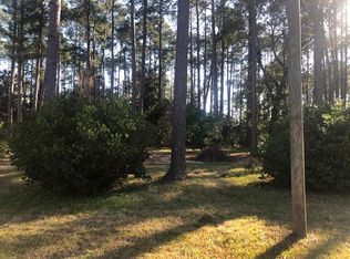 133 Garden St, Santa Rosa Beach, FL 32459