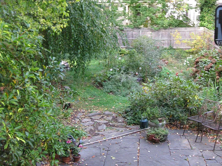 Patio view from back bedroom.