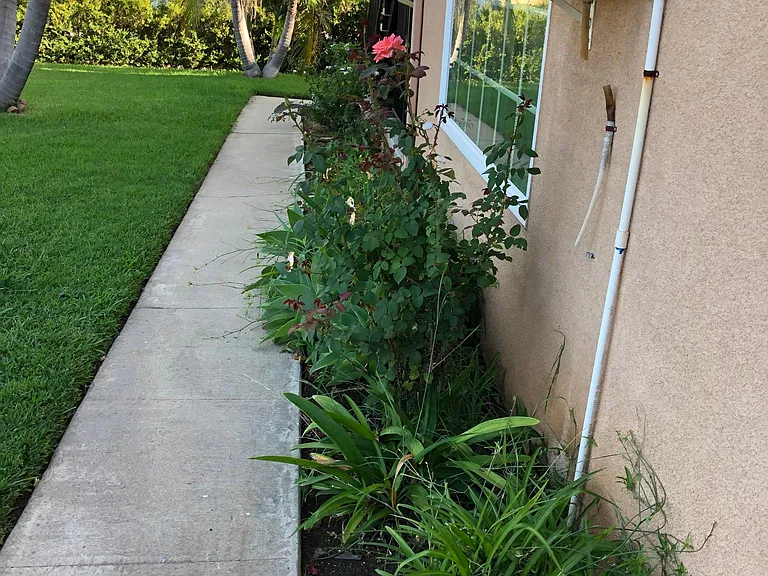 2502 W Via Corona #1/2 — Photo 91