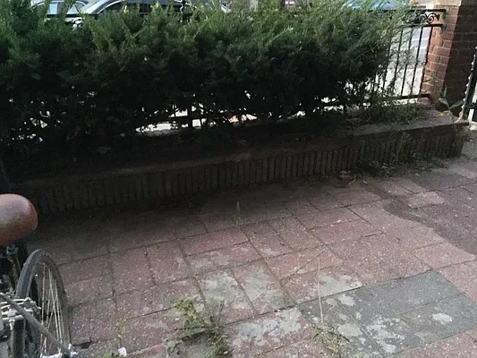 Rented by Nooklyn NYC LLC | media 15