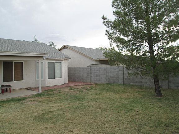 Back yard with large pine tree.