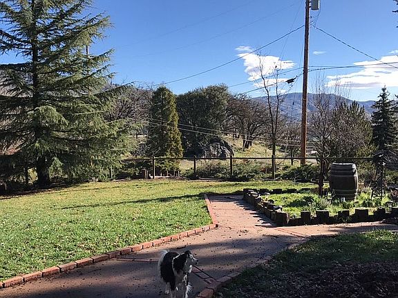 Front yard from patio