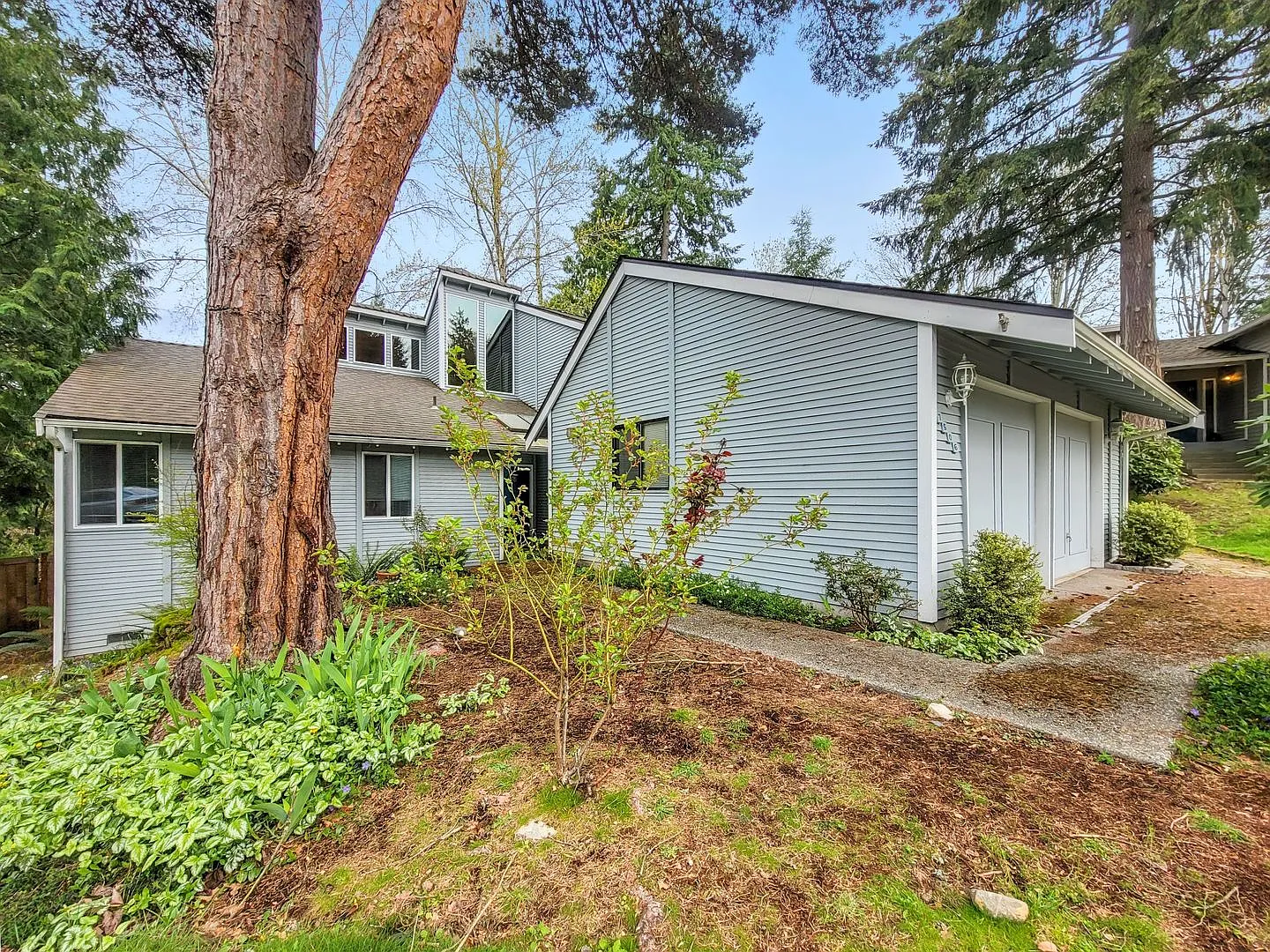 Beautiful spacious Single Family Home near Microsoft. — Photo 3