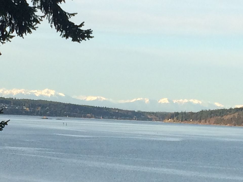 olympic views