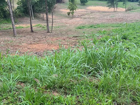 1.51 Acs Frogue Rd, Burkesville, KY 42717