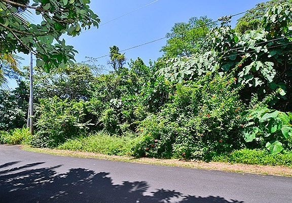 2nd image of Opelu St Lot 1