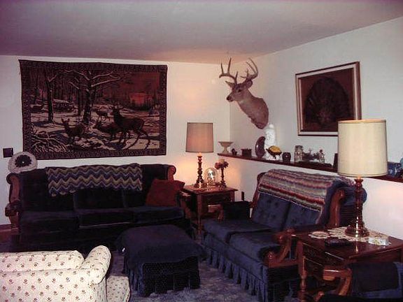 Lower level family room