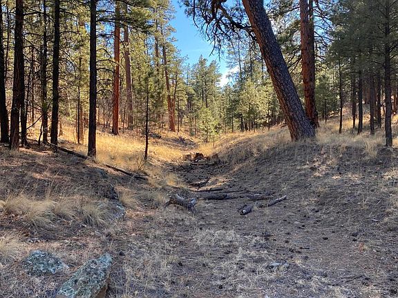 5th image of 2732 Canyon View Dr Lot 531