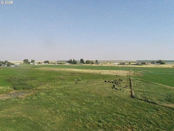 5th image of 3 Parcels Hwy #730
