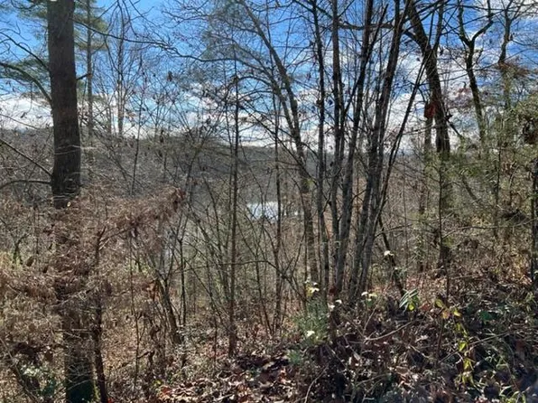 0 Hoffman Ln, Franklin, NC 28734