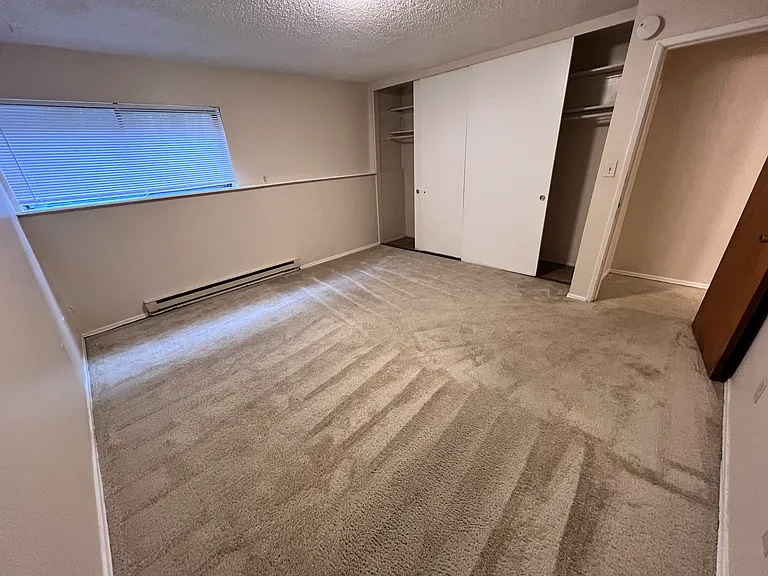 Cinebar Apartments — Photo 7